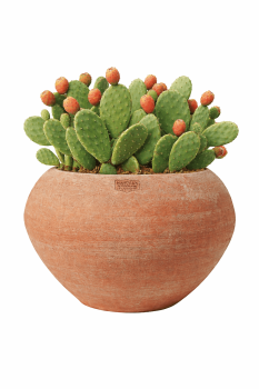 Preview: Moderner runder Terracottatopf aus Impruneta – handgefertigt & frostsicher bis -30°C - Alba